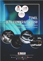 Temel Ultrasonografi Kursu